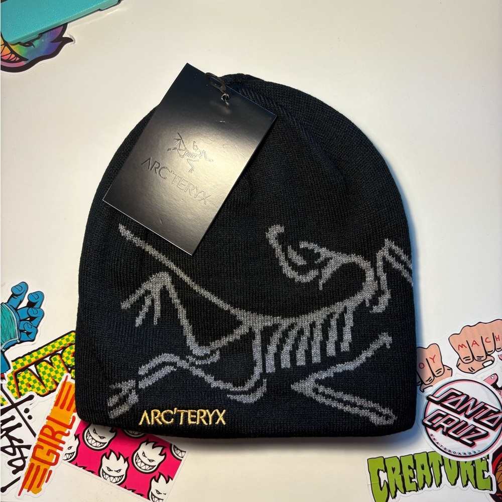 thrifted arcteryx style beanie